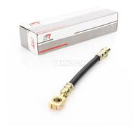 1X TUBO DEL FREN0 POSTERIORE PER VW PASSAT ESTATE 3B5 3B6 220Mm