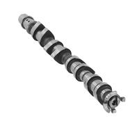 1xEngine Camshaft Albero A Camme For Chevrolet Aveo 1.6l L4 2009 55561748 CP1695