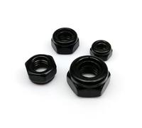 2/10/25pcs M2 M2.5 M3 M4 M5 M6 M8 M10 M12 DIN985 Black 304 Stainless Steel Hexagonal Hex Self-locking Locknut Nylon Insert Lock Nut(25pcs M6)