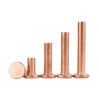 2-100 pz M2 .5 M3 M4 M5 M6 M8 Lega di Rame Tipo a Impatto GB109 Testa Piatta Viola Rivetto Rotondo(40mm,M8-2PCS)