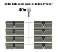 2 -10x Cilindro a Profilo 95mm 45/50 Porta Zylinder Serratura con Chiavi Uguali