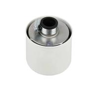 DT Spare Parts 2.12236 Filtro carburante