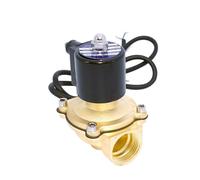 2/2 DN32 Valvola a solenoide da 1-1/4 pollici Acqua 24v 220v Valvola in ottone normalmente chiusa for subacquea(2A-32NBR,NPT_24VDC)