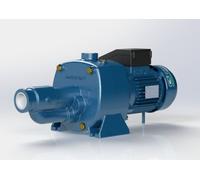 2,2 HP 1,65 KW CSwaterpumps AC2T250 Trifase Elettropompa Autoadescante