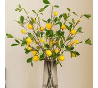 2/3/5 pezzi Ramo artificiale di limone da 70cm con foglie verdi, adatto per fattorie, famiglie, cucine, vasi, matrimoni, feste, decorazione domestica 2 pezzi,3 pezzi,5 pezziPolipropilene