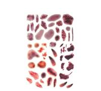 2/5 adesivi per tatuaggi impermeabili con simulazione di taglio del polso per donne, per pulire le ferite e lasciare cicatrici per uomini, lesioni e lividi duraturi di Halloween(B-2pcs)