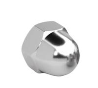 2-50PCS Dadi Ciechi M3 M4 M5 M6 M8 M10 M12 M14 M16 304 Tappo Decorativo In Acciaio Inox Tappi Coperture Esagonali Dado A Cupola(M10 x 5Pcs)
