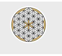 2 adesivi fiore della vita (R96/3)