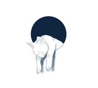 2 adesivi per tatuaggi con motivo a gatto per uomini e donne, tatuaggi semipermanenti, tatuaggi finti realistici, durano 7-15 giorni, tatuaggi temporanei impermeabili, non riflettenti e atossici