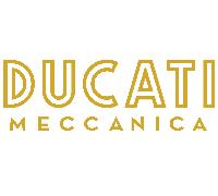 2 ADESIVI SERBATOIO DUCATI MECCANICA MONSTER GT 1000 SCRAMBLER SUPER SPORT BIG