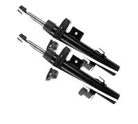 2 Ammortizzatori Sachs Anteriore sinistro 1-318 313-1-318 314 per Land Rover Ran