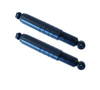 2 Ammortizzatori Sachs posteriore 2-311 417 per Citroen C25