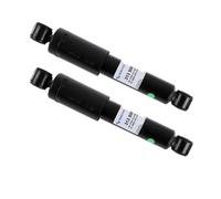 2 Ammortizzatori Sachs posteriore 2-313 908 per Fiat Marea Multipla