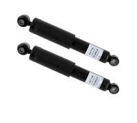 2 Ammortizzatori Sachs posteriore 2-317 716 per Hyundai I10