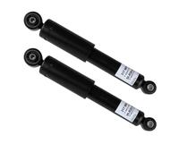 2 Ammortizzatori Sachs posteriore 2-317 969 per Ford Ka