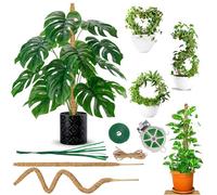 2 bastoncini per muschio Monstera da 120 cm, flessibili Monstera per piante rampicanti che crescono verso l'alto