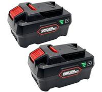 2 batterie da 5,0 Ah per Parkside 20 V, batteria Pap 20 A1, B1, A3, compatibile con Parkside XTEAM Serie, X 20V Team Serie PSTA 20-Li A1, PSSPA 20Li F4, PSTA 20-Li A1, PPSTDA 20Li