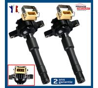 2 Bobina Accensione per BMW E36 E46 E39 E38 E31 E53 MG Zs 12137599219 0221504029