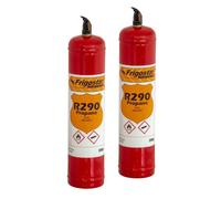 2 Bombole R290 370 gr. per ricarica Frigorifero asciugatrice