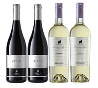 2 Bott. Pecorello Ippolito1845 75cl + 2 Bott. Greco Statti 75cl- Due Grandi vini Bianchi Calabresi - Vino Bianco Calabria