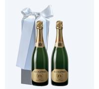 2 Bottiglie Confezione da 2 bottiglie Il Calepino 75