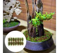 2 Boxes Di Finta Mini Arredamento Giardino Tavolo Sabbia