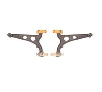 2 Bracci Oscillanti Anteriori Inferiori SX+ DX X Fiat Multipla (186)