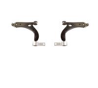 2 Bracci Oscillanti Posteriori Inferiori SX+ DX X Ford Fiesta V & Fusion