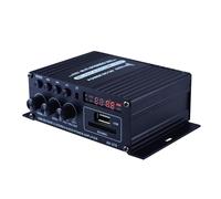 2 canali Mini amplificatore di Potenza Audio di Amplificazione del Suono Amp