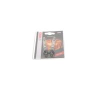 2 Candelette Bosch 0250202025