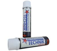 2 capsule di combustibile a gas, Ø 31,5 x 115 mm, adatte per spit Pulsa 700, distributore di gas professionale per cantieri e uso continuo