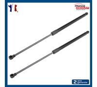 2 Cavalletti Cofano Posteriore per Renault Grand Scénic 3 e 904500004R