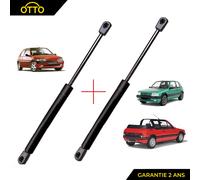 2 Cilindro Portellone Cofano Nuovo Pinze per 205 Gti 1.9d 1.7d E Diesel