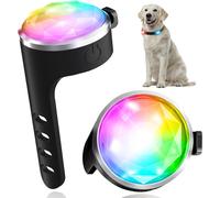 2 Ciondoli Luminosi per Cani, Collare Luminoso per Cani, Ricaricabili, USB-C E I