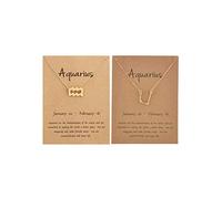 2 collane in argento zodiacale per le donne 12 costellazione segno collana CZ astrologia zodiaco stella collana regali di compleanno con biglietto di messaggio regali di Natale 2023, Rame, Altro