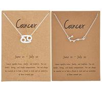 2 collane in argento zodiacale per le donne 12 costellazione segno collana CZ astrologia zodiaco stella collana regali di compleanno con biglietto di messaggio regali di Natale 2023, Rame, Altro