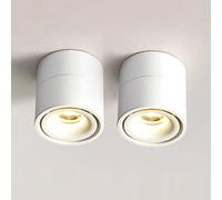 2 Confezioni di faretti da soffitto Regolabili, faretti da soffitto da 12 W a LED per Illuminazione d'accento, Mini faretti direzionali per Soggiorno, corridoio, Bianco 6000 K