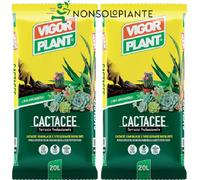 2 confezioni vigorplant Terriccio per piante grasse succulente e Cactacee 20 lt
