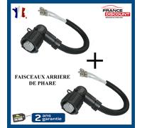 2 Connettore Luci Posteriori Compatibile JUMPER DUCATO BOXER DAILY 6583CL 6583CN