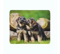 2 coperte in flanella ARREDALACASA con i pastori tedeschi - cani