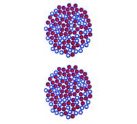 2 Count Progetti Pratici in Bottiglia Coperchi Dei Barattoli Di Marmellata