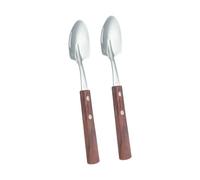 2 cucchiai in acciaio inox per gelato con manico in legno massello, pratiche posate da portata per casa e cucina in acciaio inox pala cucchiaio