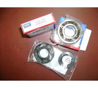 2 CUSCINETTI SKF ALTI GIRI 6204TN9/C4 + PARAOLI BANCO X MINARELLI 47X20X14