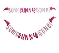 2 Decorazioni Pasquali Striscione Happy Easter GHIRLANDA Appesa