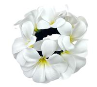 2 elastici per capelli da donna con plumeria artificiale, con fiori, per intestino crasso, elastici per capelli, per capelli e coda di cavallo, per indossare tutti i giorni, colore bianco