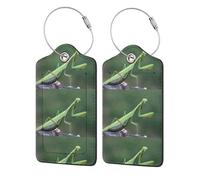 2 etichette identificative per bagagli da viaggio in pelle PU con patta per la privacy, etichette identificative per valigie da viaggio,Mantide religiosa verde