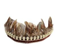 2 fasce per capelli indiani con piume, copricapo da palcoscenico con cordino, copricapo a piuma, per adulti, accessori per costume a tema, carnevale, marrone giallastro