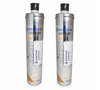 2 Filtri Everpure 4C2 antimicrobico 0,2 micron