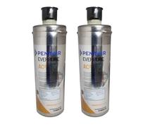 2 filtri Everpure AC2 antimicrobico 1,9lt./min. 0,5 micron