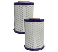2 Filtro HEPA post-motore per Dyson DC03 Absolute DC03 Clear DC03 Pure DC03